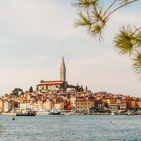 Summer Dream, Center Of Rovinj Eksteriør billede